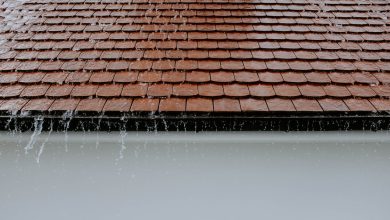 5 Things That Can Cause a Leaky Roof
