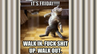 Happy Friday Meme